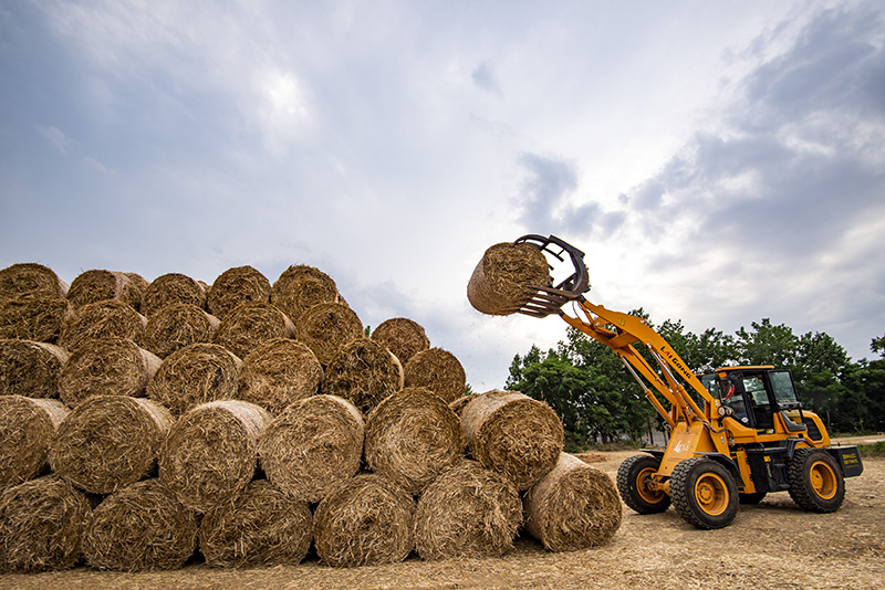 ???????? ????:  ????? ????? ????? ????? ?????? ???????? ??? ???