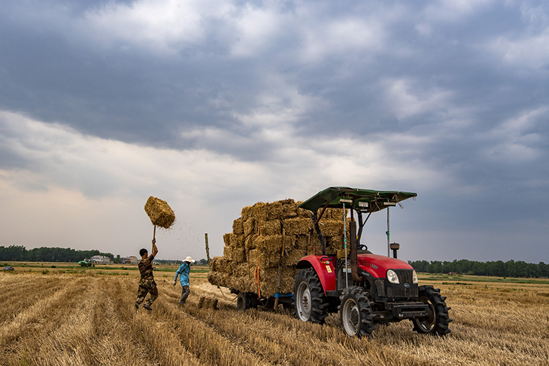 ???????? ????:  ????? ????? ????? ????? ?????? ???????? ??? ???