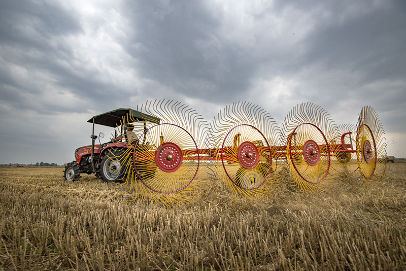 ???????? ????:  ????? ????? ????? ????? ?????? ???????? ??? ???