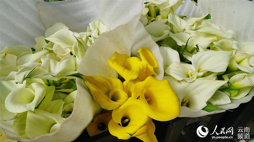 ???????? ??????: ?????? ???? ?????? ??????? ?? ?????