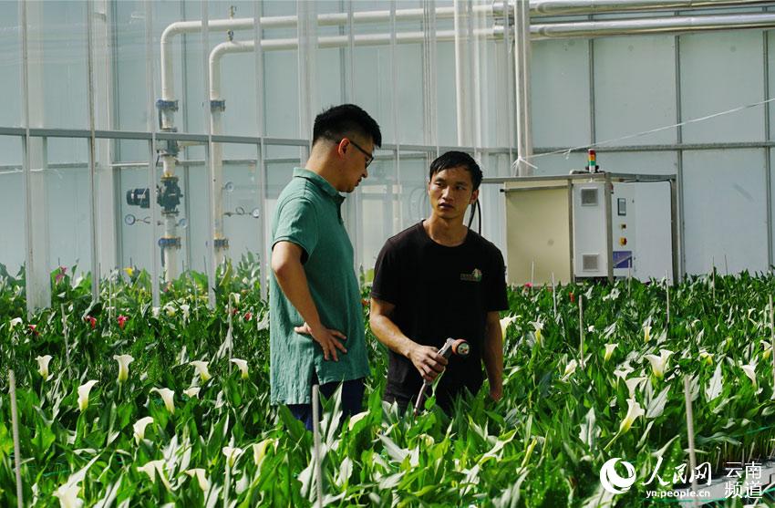 ???????? ??????: ?????? ???? ?????? ??????? ?? ?????