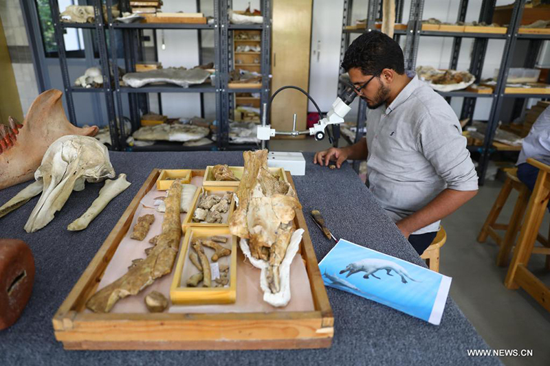 ????? : ?????? ??? ???? ?????? ??? ??? 43 ????? ??? ???? ?? ??? ????????