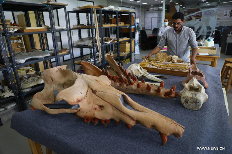 ????? : ?????? ??? ???? ?????? ??? ??? 43 ????? ??? ???? ?? ??? ????????