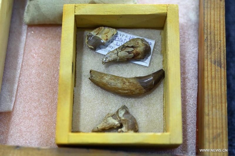 ????? : ?????? ??? ???? ?????? ??? ??? 43 ????? ??? ???? ?? ??? ????????