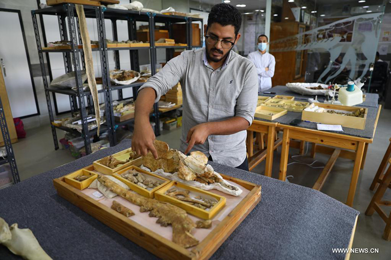 ????? : ?????? ??? ???? ?????? ??? ??? 43 ????? ??? ???? ?? ??? ????????