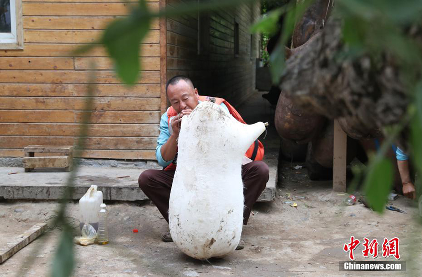 ????? ???? ????? ?? ???????