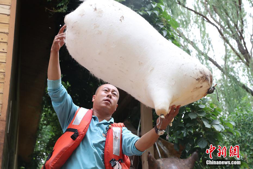 ????? ???? ????? ?? ???????