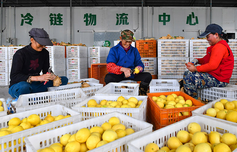 ???????? ???????: ????? ??????? ????? ??? ??????