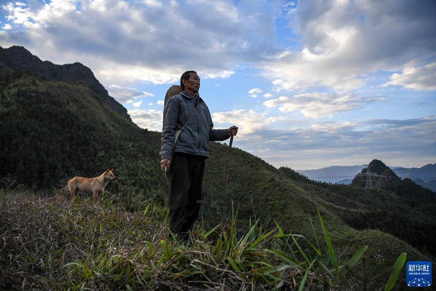 ????? ????? ??? ????? ??????? ??17 ????