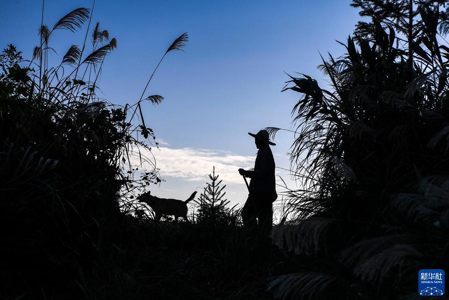 ????? ????? ??? ????? ??????? ??17 ????