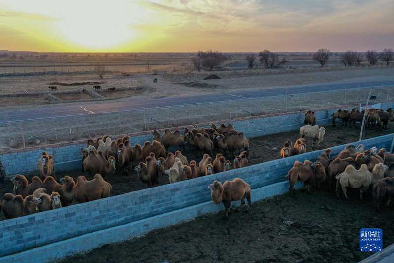 ????? ????? ??????? ????? ?????????