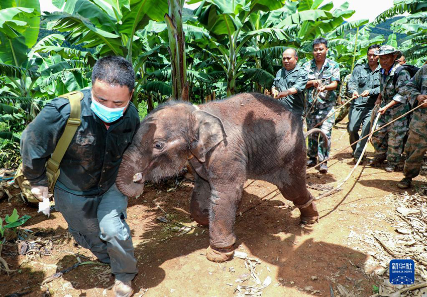 ?? ?????? ??????? ????? ??? ???? ????? ?? ??????