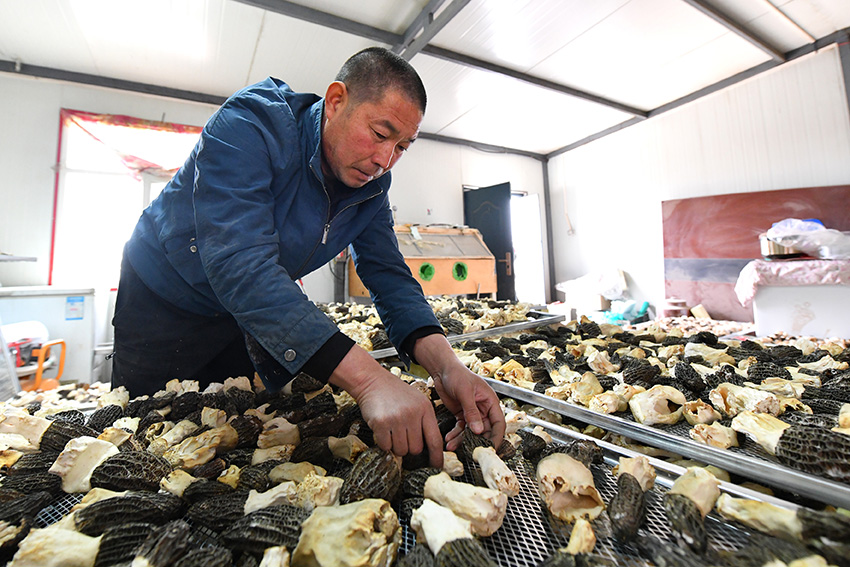 ????? ????????: ???? ???? ???? ?????