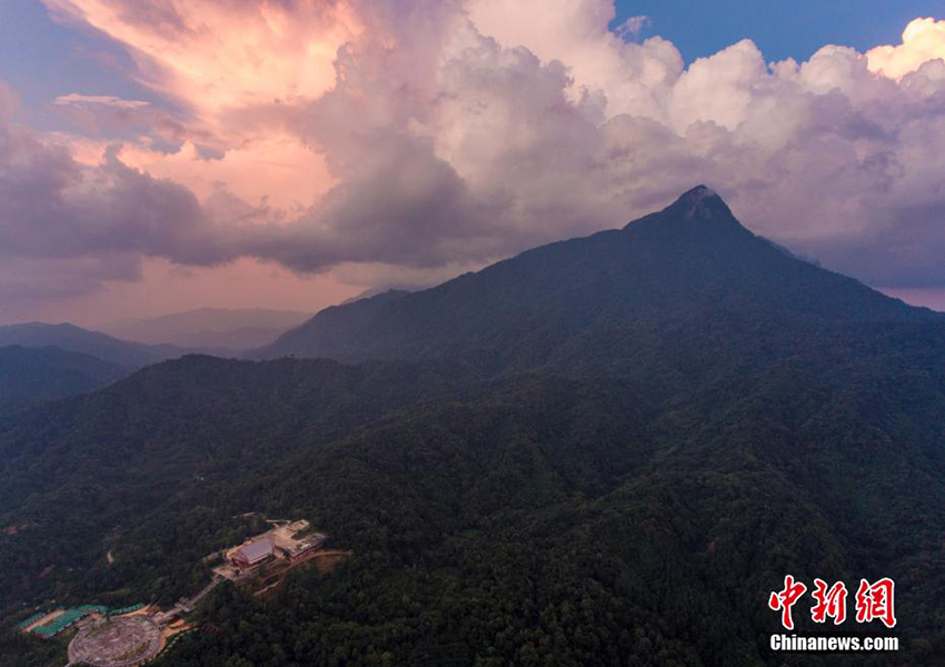 ????? ?????? ?????? ?????? ?????????? ??????? ???????