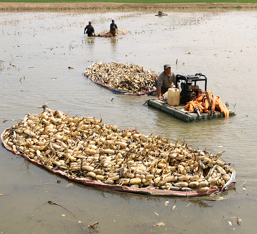 ???? ???? ???? ???? ?????? ?? ???????