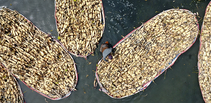 ???? ???? ???? ???? ?????? ?? ???????