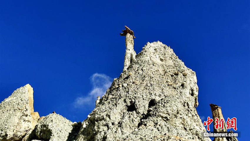 ???? ?? ??????? ???????? ?????? ??????? ???????? ?? ???? ???? ??????