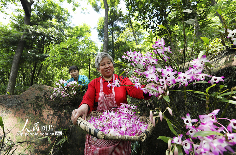 ??????? ??????: ???? ??? ???? ???????????