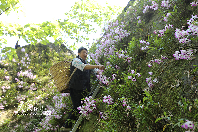 ??????? ??????: ???? ??? ???? ???????????