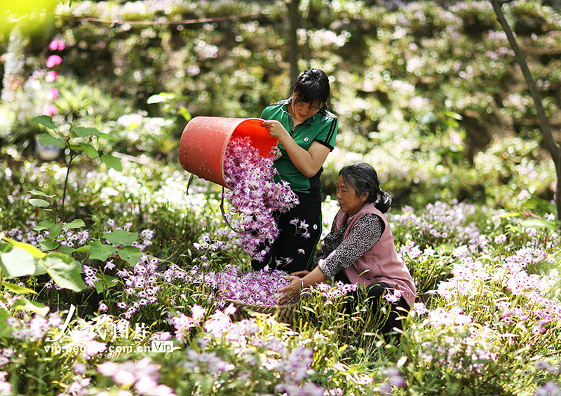 ??????? ??????: ???? ??? ???? ???????????