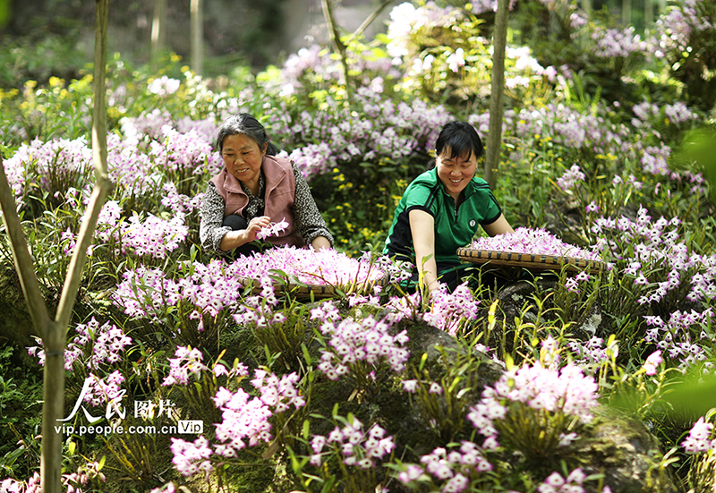 ??????? ??????: ???? ??? ???? ???????????