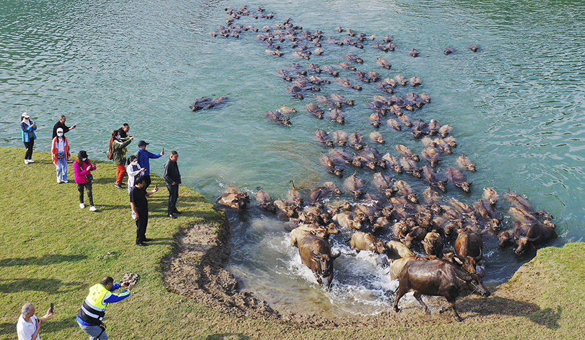 ???? ??????? ?? ??? ??????? ???????? ???? ?? ?????