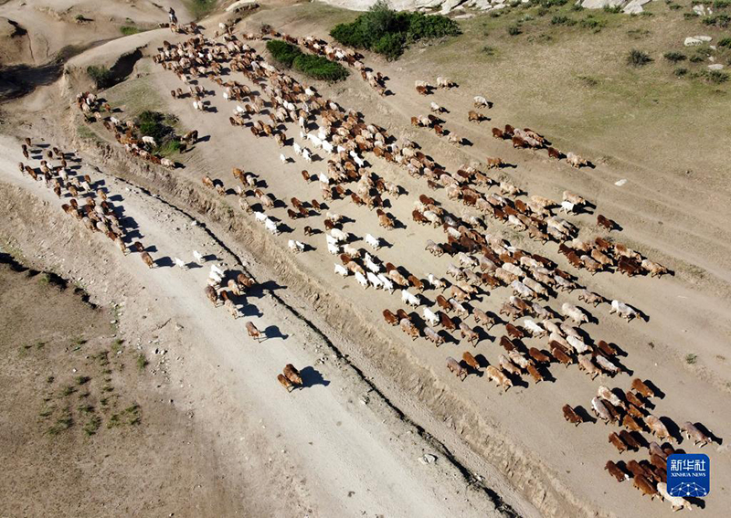 ???? ???????? ??????? ??? ??????? ???????