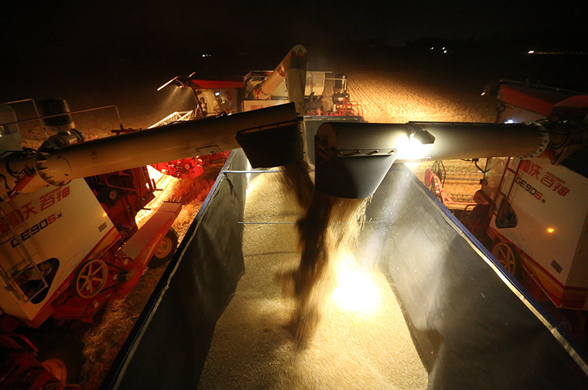 ????? ? ???????: ???????? ?????? 