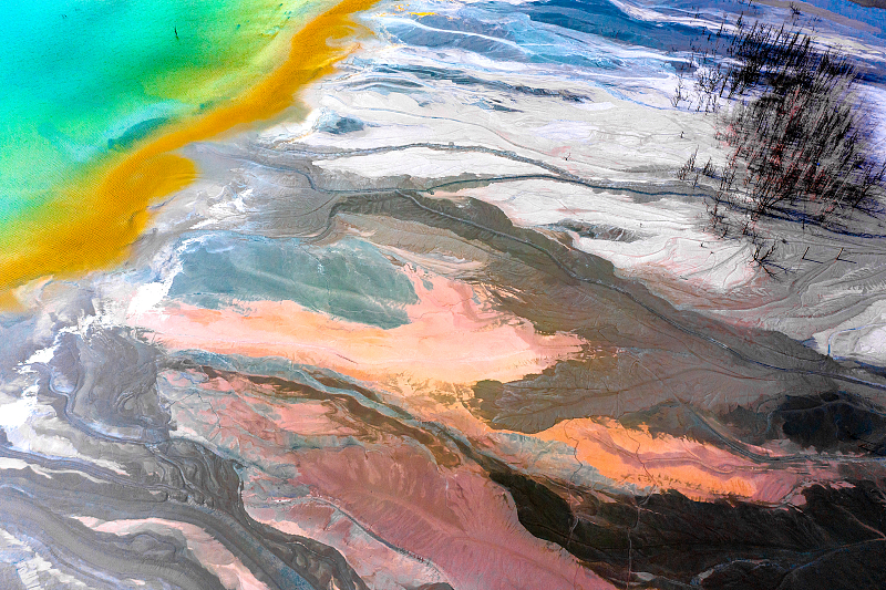 ???????? ????: ????? ??????? ????? ????? ?? ??????? ???? ??????? ???????