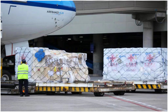 ????? ??????: ???????? ??????? ?????? ?? ??????? ?????? ???????? ??? ?????? ??????