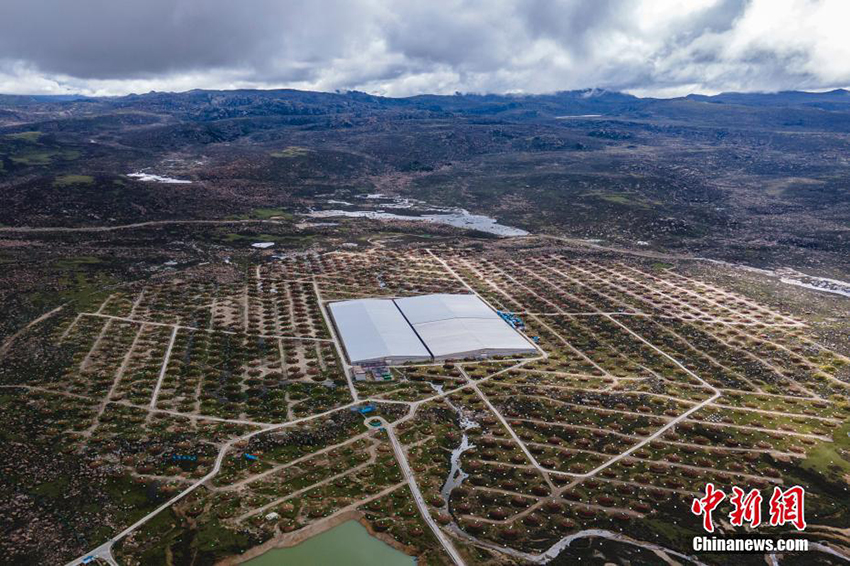 ?????? ?????? ??? ?????? ?????? ???????? (LHAASO) ?? ???????