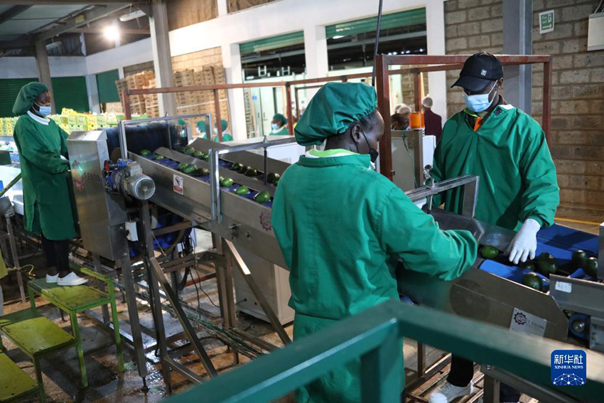 ????? ??? ???? ?? ????????? ?????? ?? ?????? ????????? ??? ?????