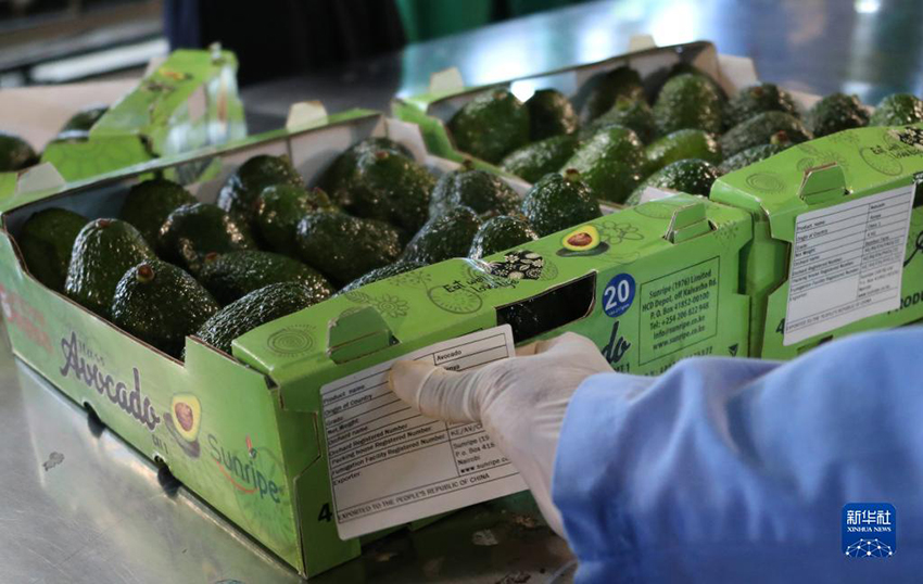 ????? ??? ???? ?? ????????? ?????? ?? ?????? ????????? ??? ?????