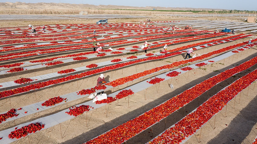 ???? ???? ?? ?????? ???????? ????????