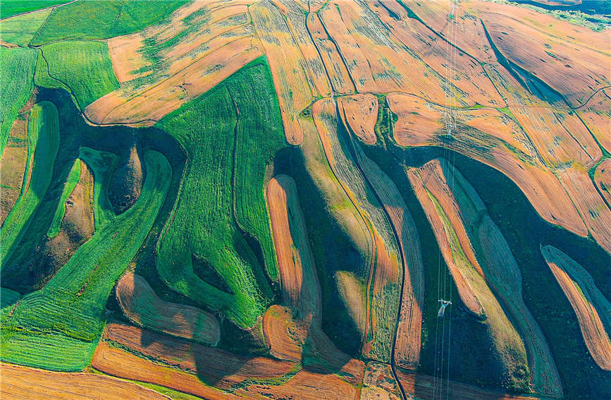 ??????? ???????? ?? ????? ???????? .. ????? ????? ????? ???????