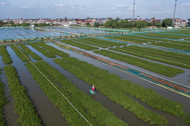 ?????? ???????: ???? ?????? ???? ????? ????