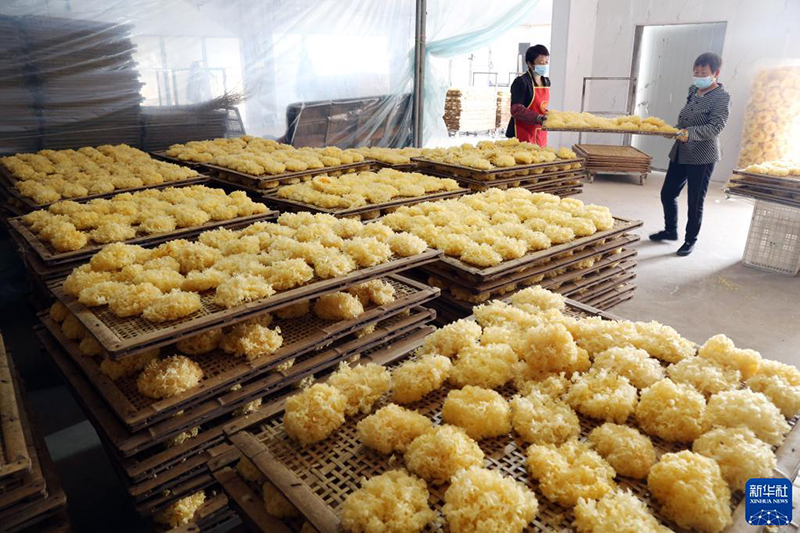 ????? ?????? ????? ???? ?????? ?? ????????? ?????? ?????