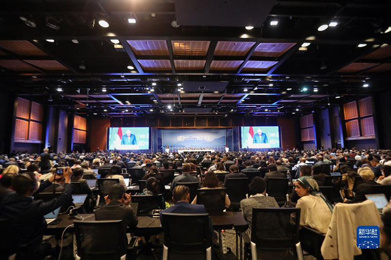 ????? ??????: ?????? ??? 