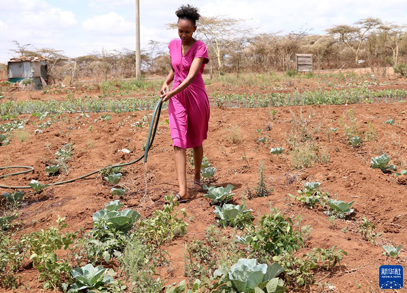 ???? ????? ????? ???? ????? ?????? ?????? ????? ?? ?????