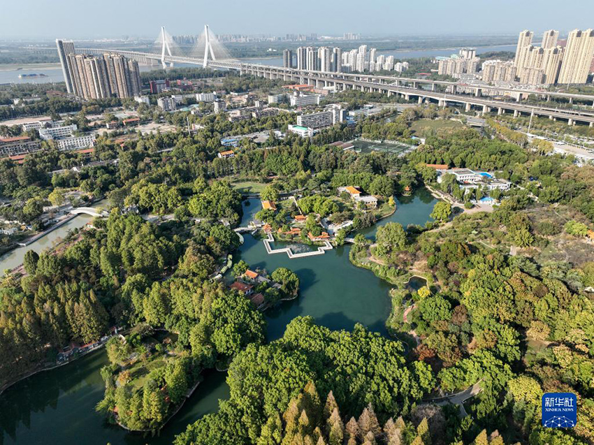 ????? ??? ???? ??? ??????? ?????? ???????