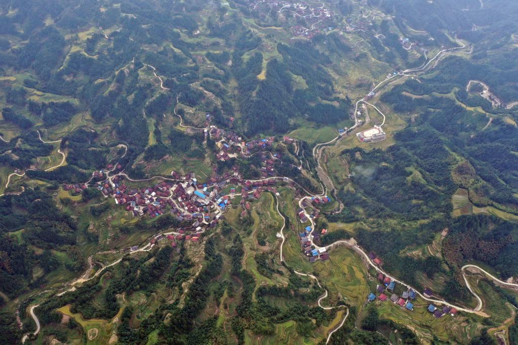 ???? ????? ?????? ???? ?????? ?????? ?? ????? ??????? ?????? ?????