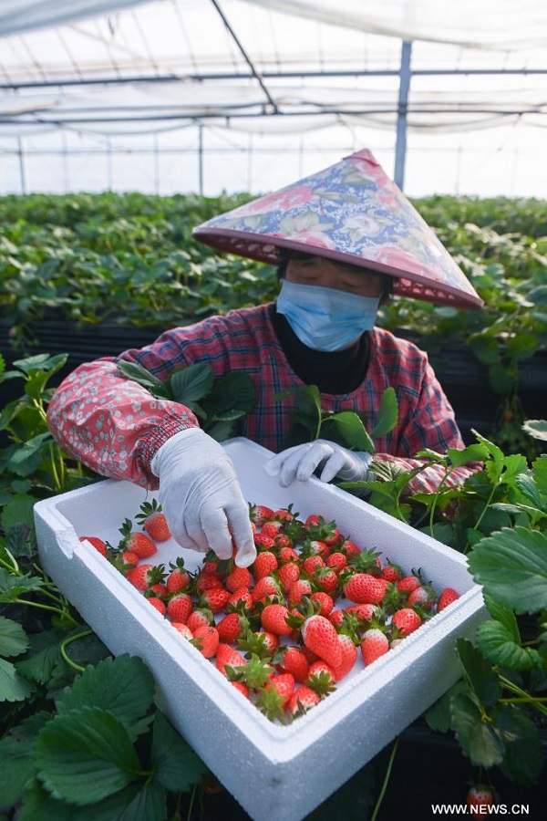 ????? ???? ???????? ??? ????? ????? ???????? ????? ?????