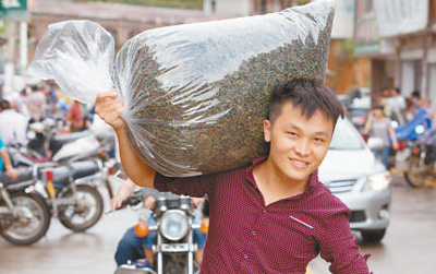 ???? ?? ??????? ??????? ?? ?????? ?????? ?????? ???? ?????? ??????? ??????