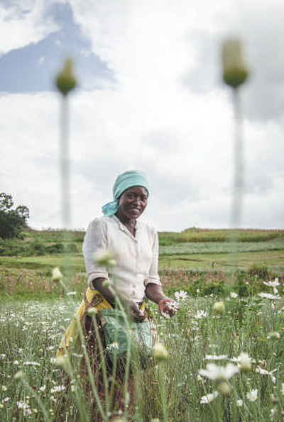 ???? ?? ??????? ??????? ?? ?????? ?????? ?????? ???? ?????? ??????? ??????