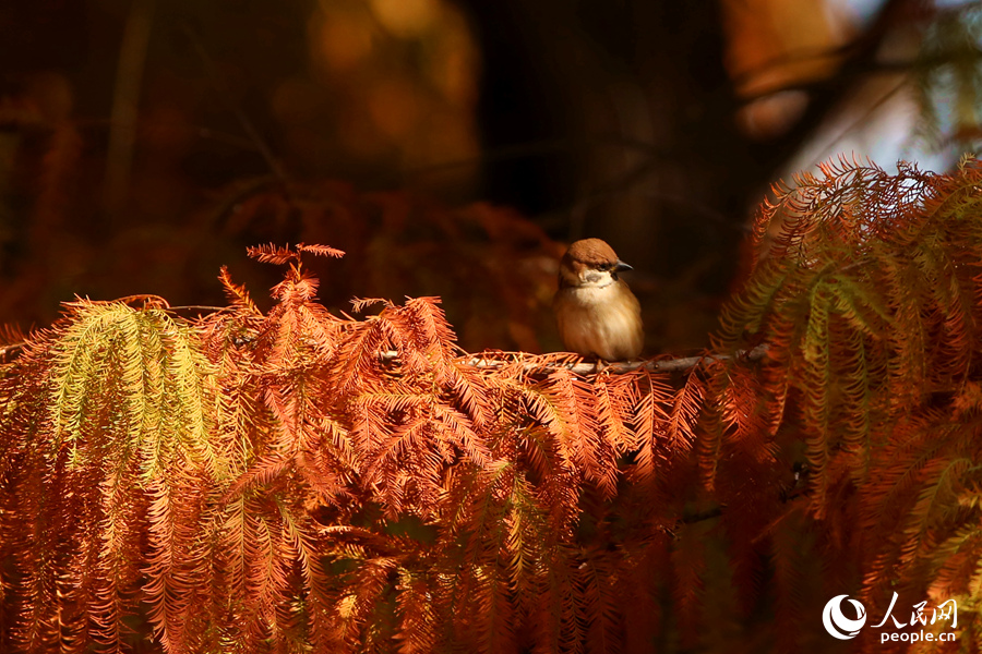 ????? ???????? ???? ????? ????? ??? ???? ???????? ?? ?????