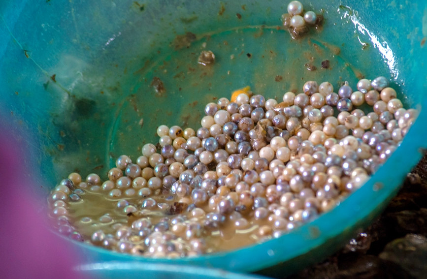 ?????? ???? ??? ?????? ?? ????? ?? ?????? ???????