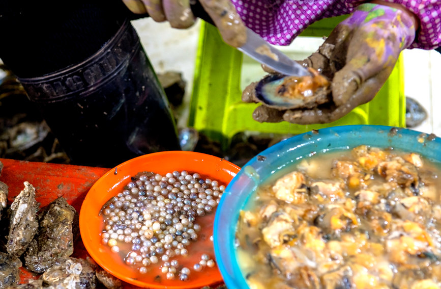 ?????? ???? ??? ?????? ?? ????? ?? ?????? ???????