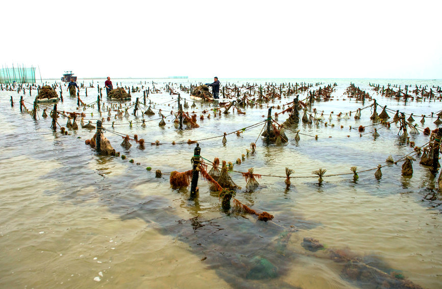 ?????? ???? ??? ?????? ?? ????? ?? ?????? ???????