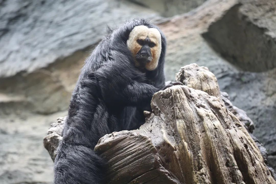 ????? ?????? ?????? ???? ?????? ?????? ??? ??????? ????????