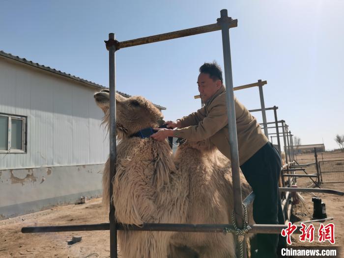 ??????? ?????? ????? ?????? ?? ????? ??????? ???????? ??? ????? ?????